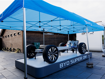 byd-14.jpg